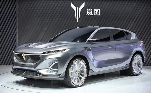 嵐圖汽車首秀國際車展 以“蔚派”姿態，交出怎樣的成績單？